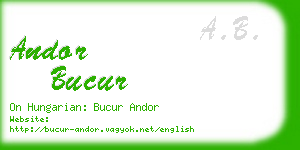 andor bucur business card